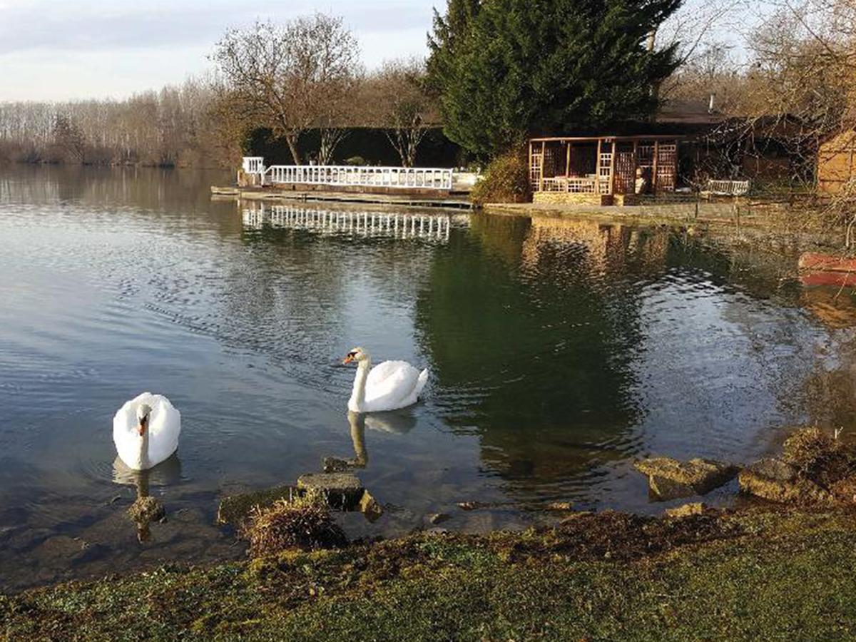 Chalet Au Domaine De La Goujonne Saint-Sauveur-lès-Bray Eksteriør bilde